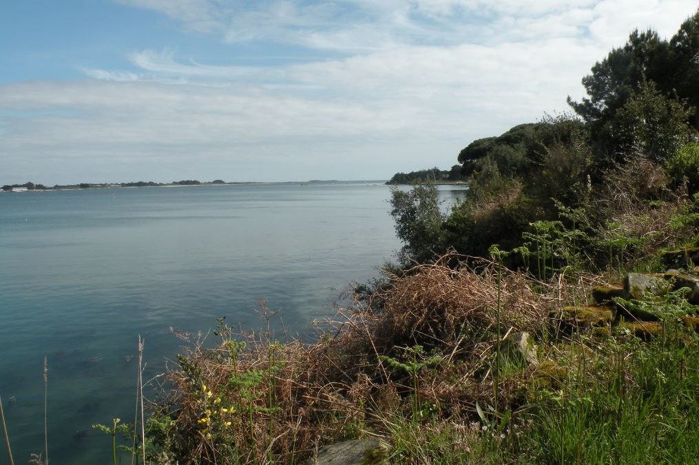 Découvrez les charmes du sud de la Bretagne